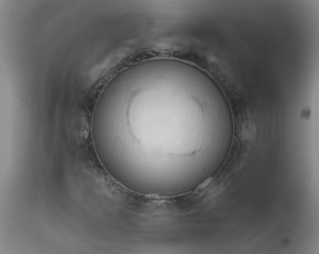 X0000111821253200907301249