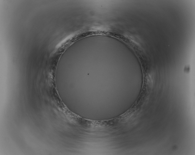 X0000111821254200907301249