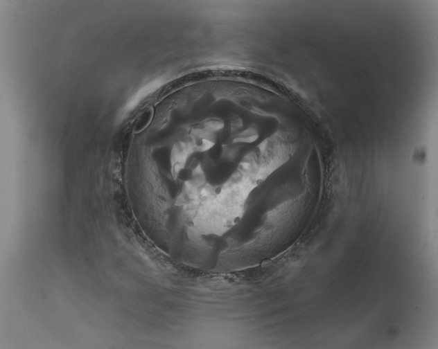 X0000111821255200907301249