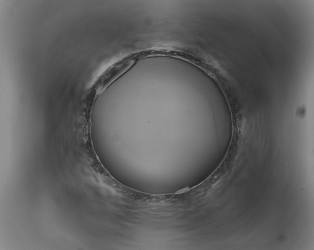 X0000111821256200907301248