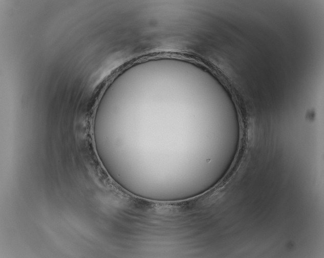 X0000111821258200907301248