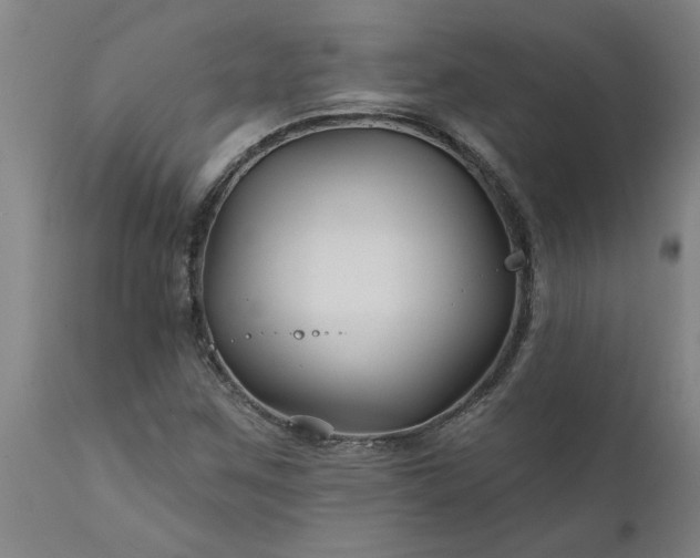X0000111821259200907301248