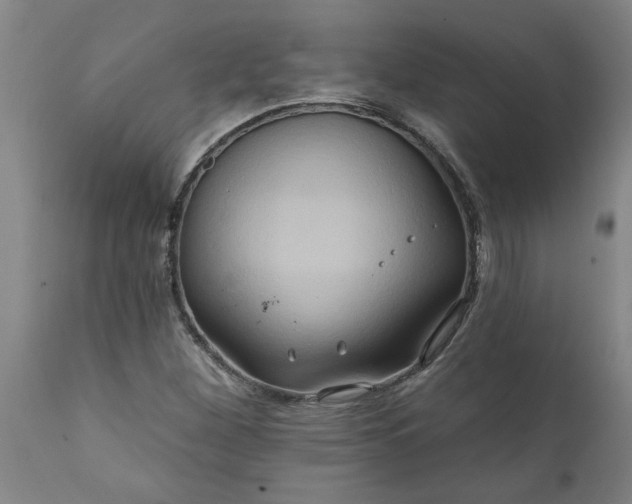X0000111821260200907301248