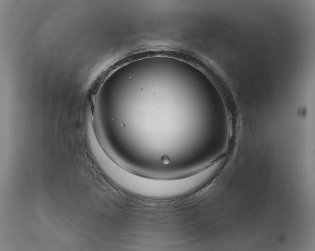 X0000111821261200907301248