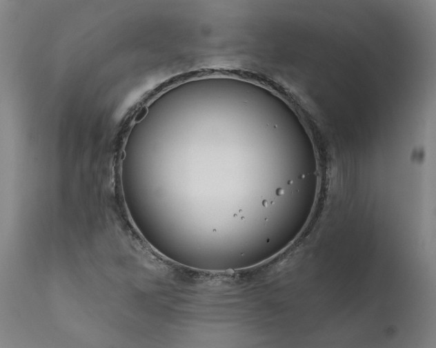 X0000111821262200907301248