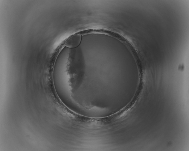 X0000111821263200907301248