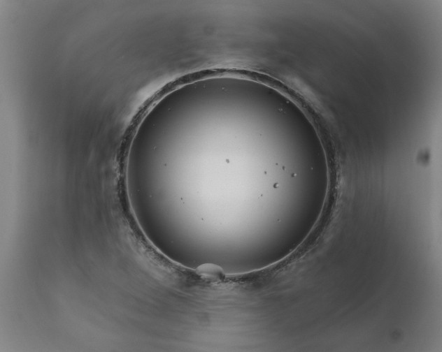 X0000111821264200907301248