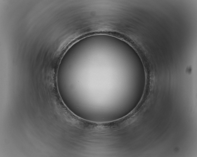 X0000111821265200907301248