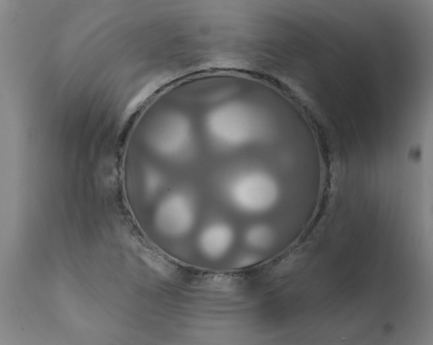 X0000111821266200907301248
