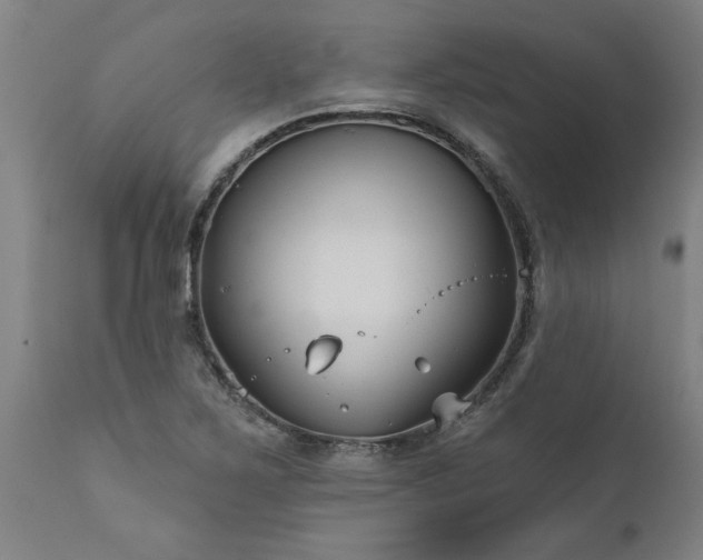 X0000111821267200907301248