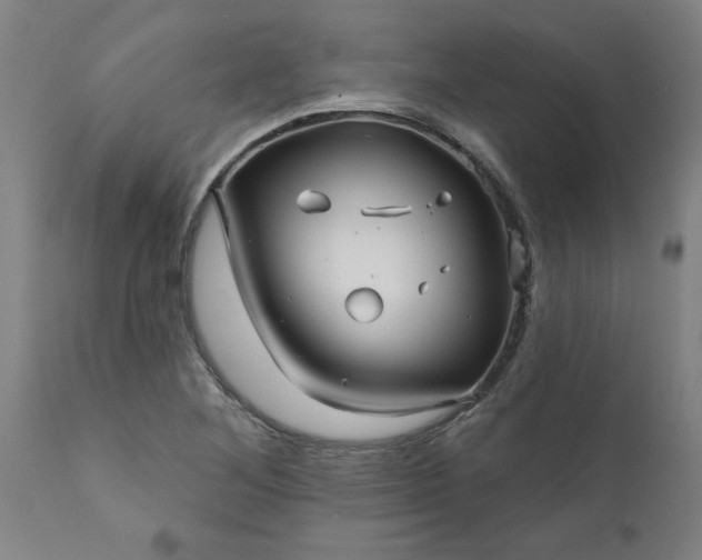 X0000111821268200907301248