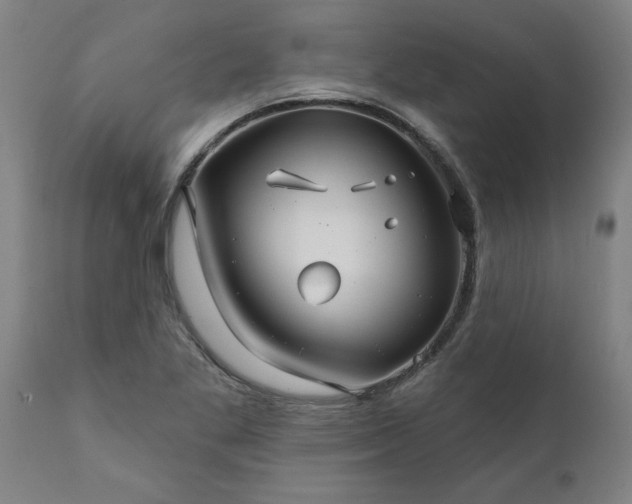 X0000111821269200907301248