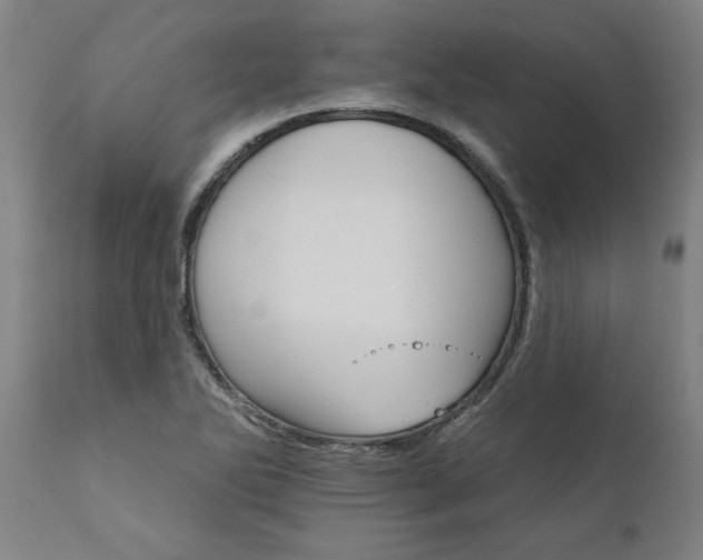 X0000111821270200907301248