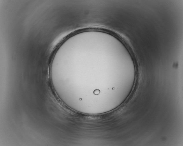 X0000111821271200907301248
