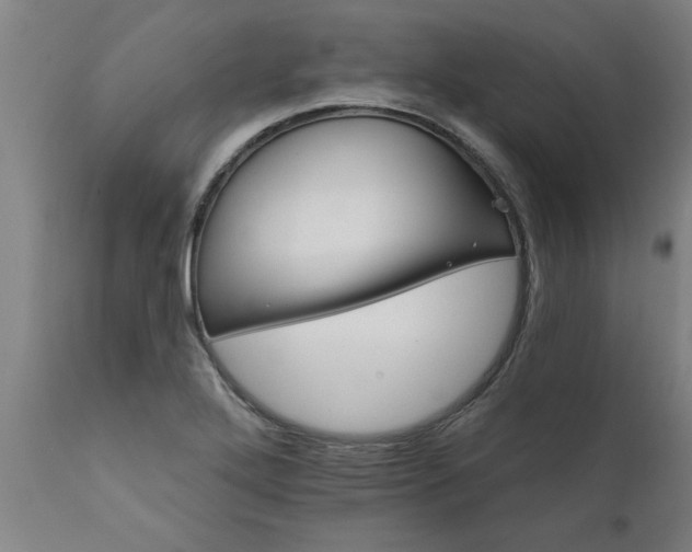 X0000111821272200907301248