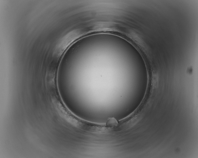 X0000111821273200907301248