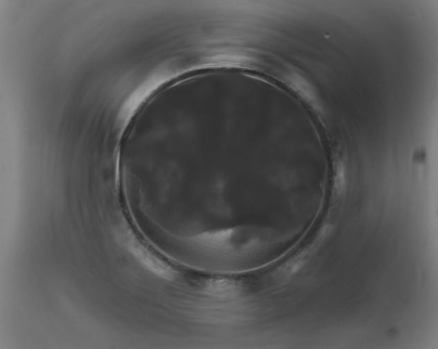 X0000111821275200907301248