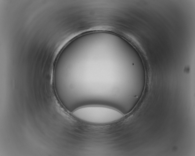 X0000111821276200907301248