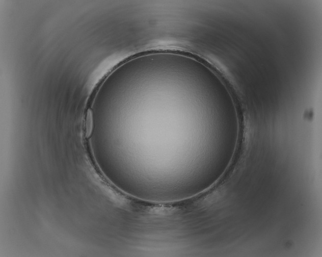 X0000111821277200907301248