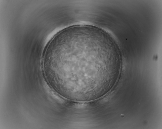 X0000111821278200907301248