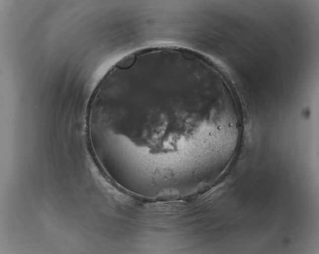 X0000111821279200907301248