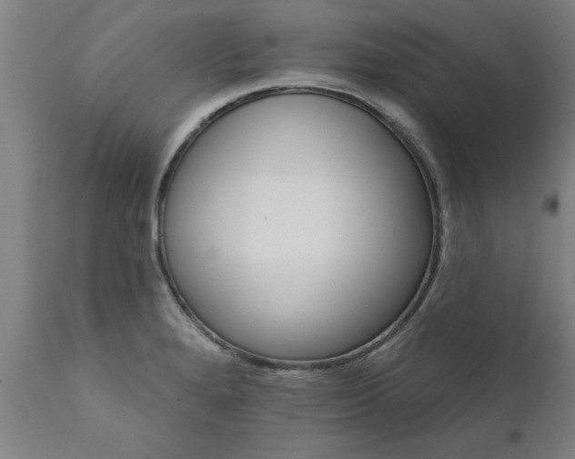 X0000111821280200907301248