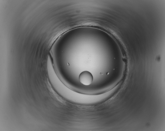 X0000111821281200907301248