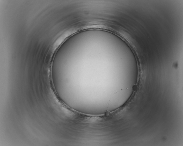 X0000111821282200907301248