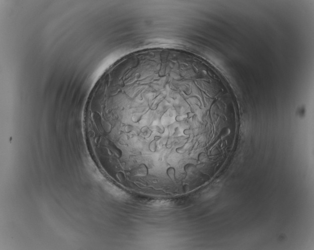 X0000111821283200907301248