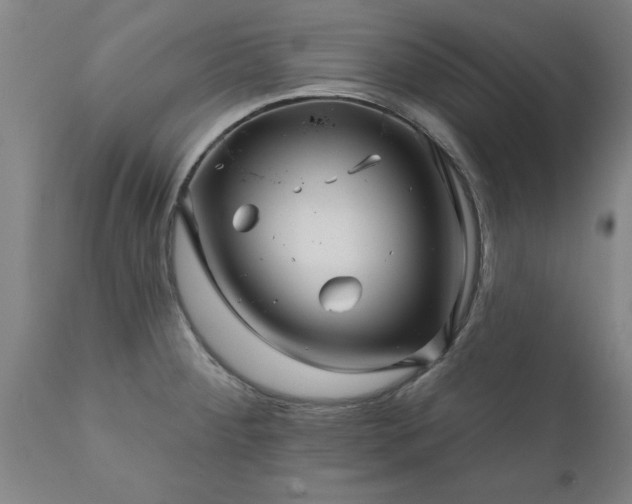 X0000111821284200907301248
