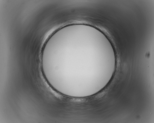 X0000111821286200907301248