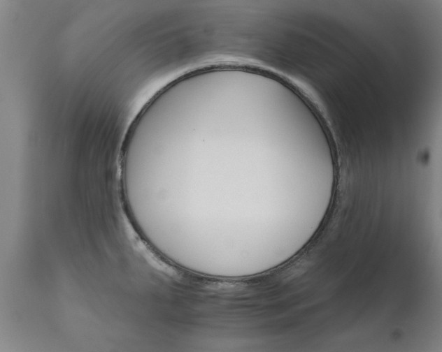 X0000111821287200907301248