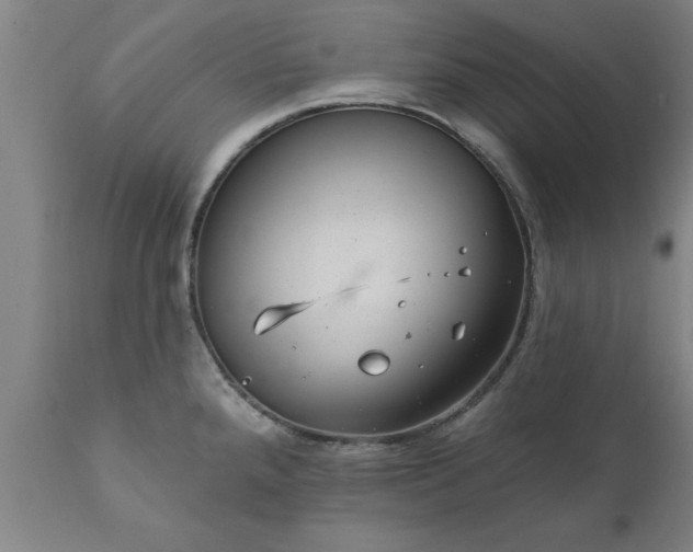 X0000111821288200907301248