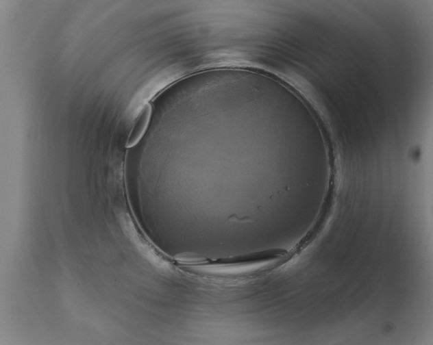 X0000111821289200907301248