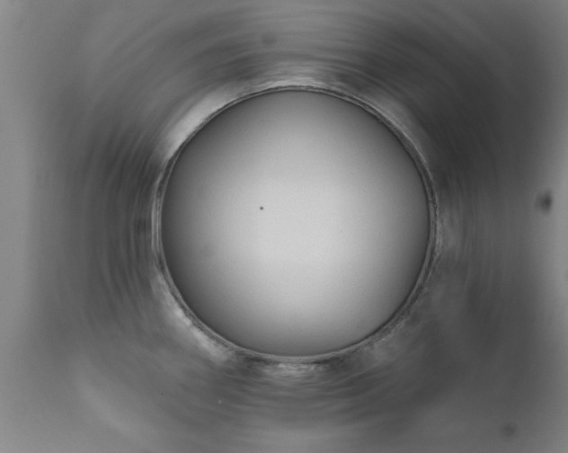 X0000111821290200907301248