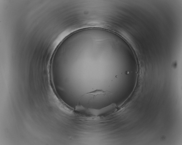 X0000111821291200907301248