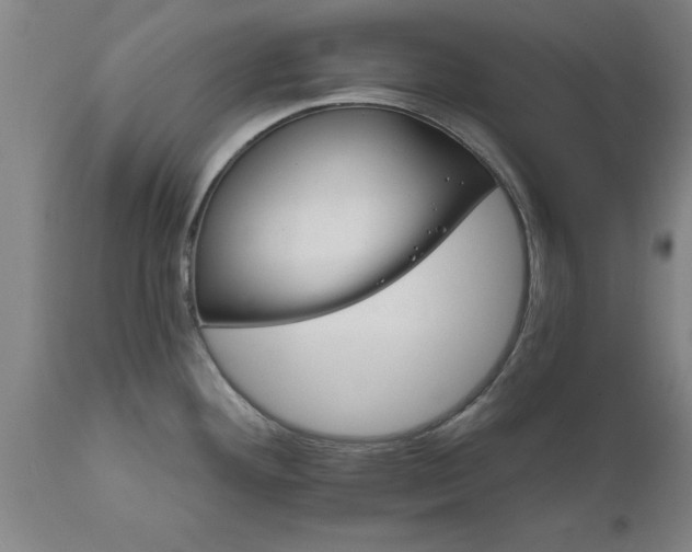 X0000111821292200907301248
