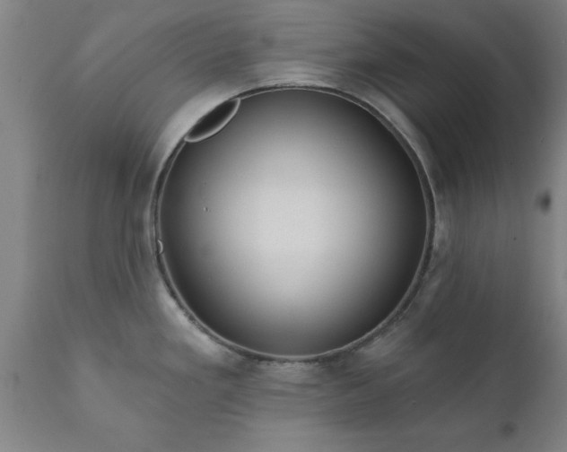 X0000111821293200907301248