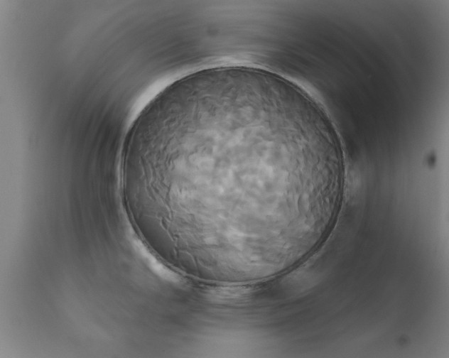 X0000111821294200907301248