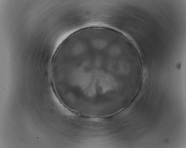 X0000111821295200907301248