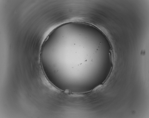 X0000111821296200907301248