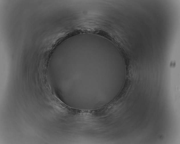 X0000111821297200907301247