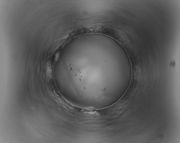 X0000111821298200907301247