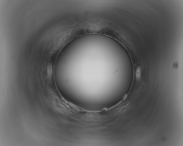 X0000111821299200907301247