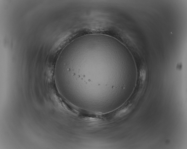 X0000111821300200907301247