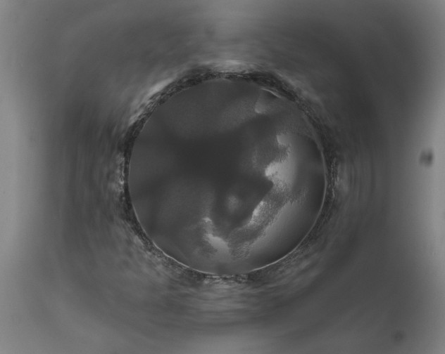 X0000111821301200907301247