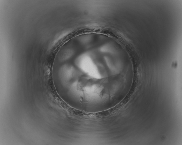 X0000111821302200907301247