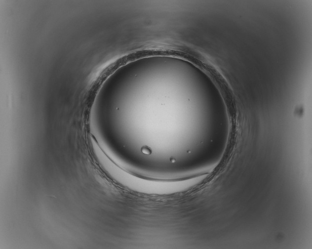 X0000111821304200907301247