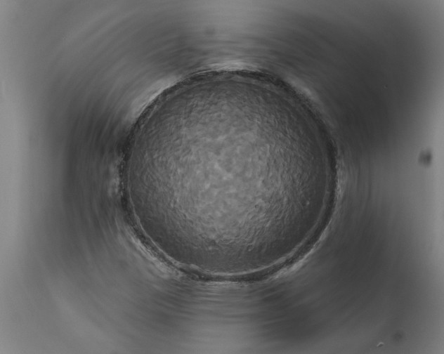 X0000111821305200907301247