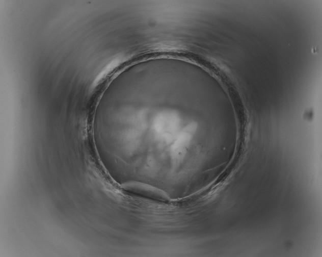 X0000111821306200907301247